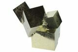 Natural Pyrite Cube Cluster - Spain #168623-1
